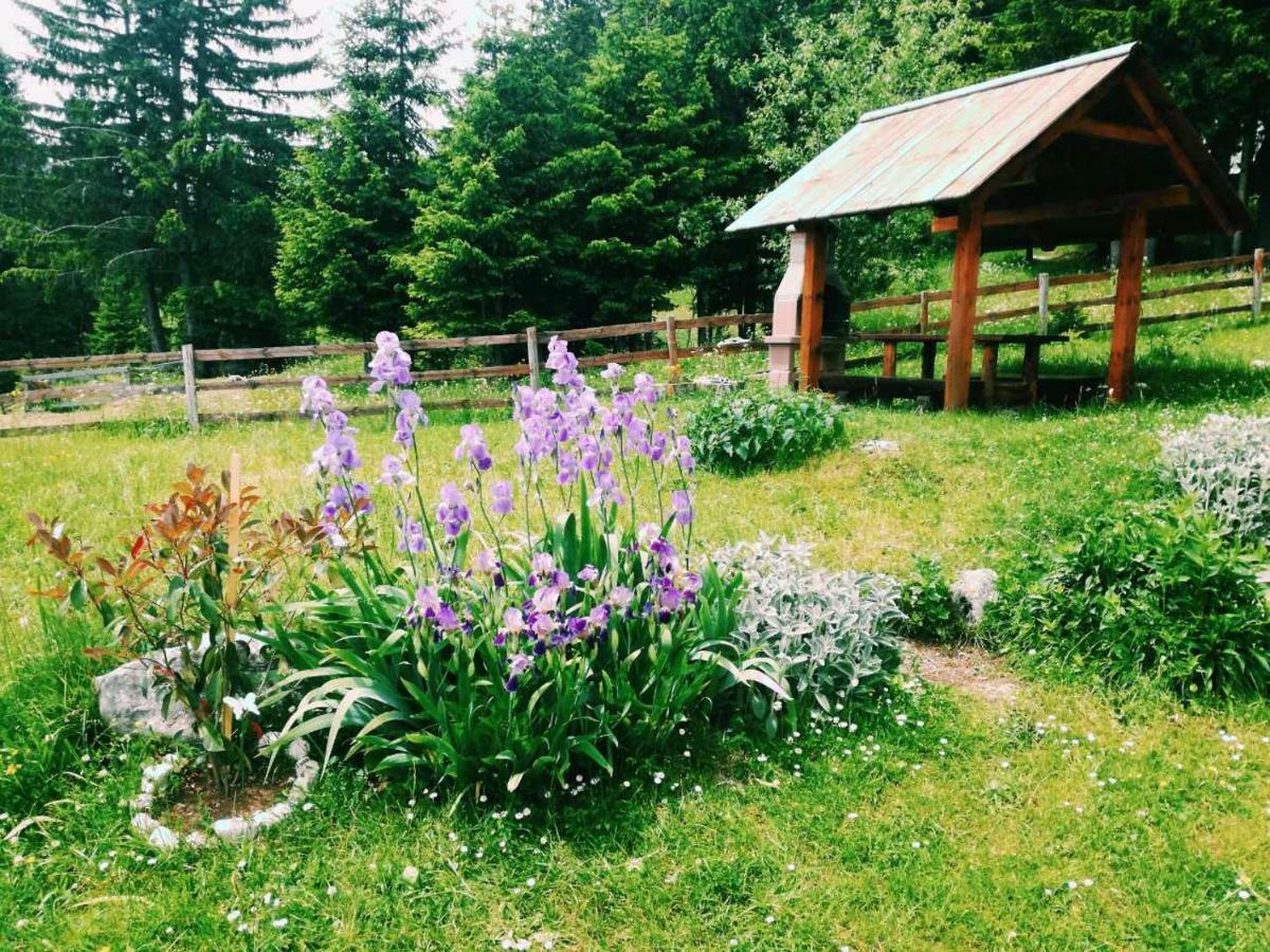 Sibalic Apartmani Zabljak  Exterior photo